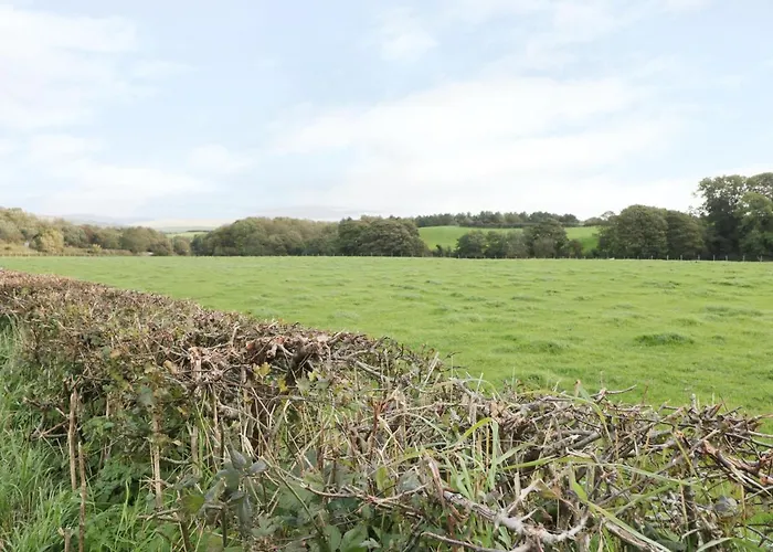 Coney Garth Barn 度假居